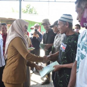 caae316eb066ed2522bf52f6dcd5f3e16e80649022f07be5e790eeb42f07552f.0